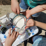 Two kids pour milk into a plastic bag to make ice cream.