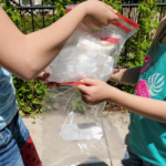 Two kids put their ice cream mixture in an extra bag.